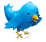 Follow Us on Twitter