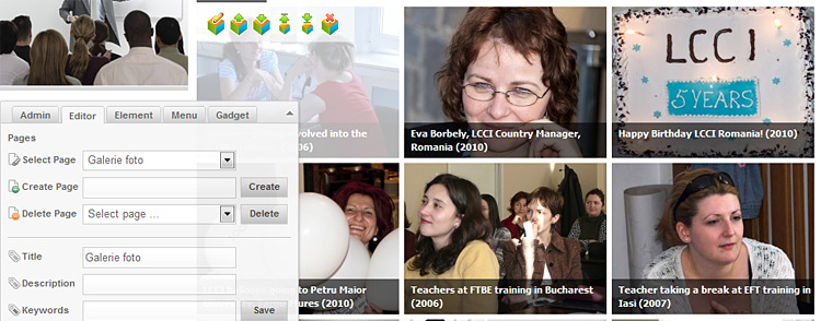 aranjarea elementelor