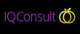 iqconsult logo